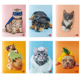 0110390 maxiquaderno a4 40fg+2 80gr 5mm c/marigne sweet fantasia 2017 bm