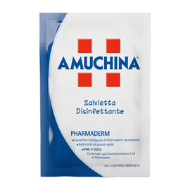 200 salviette disinfettanti pharmaderm amuchina
