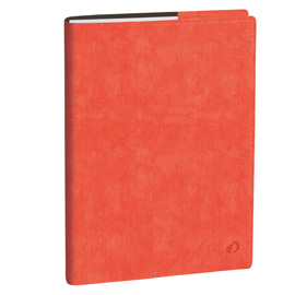 Agenda del professore 2026 - copertina roma - 21 x 27 cm - rosa corallo - quo vadis