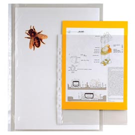 Buste forate ercole - 30x42 cm (libro) - trasparente - sei rota - conf. 10 pezzi