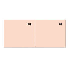 Blocco scontrino a 2 sezioni - rosso - 100 copie - numerate - 5,8x13cm - 160000020 - semper