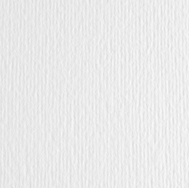 Cartoncino elle erre - 70x100cm - 220gr - bianco - fabriano - blister 10 fogli