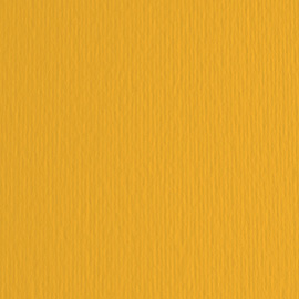 Cartoncino elle erre - 50x70cm - 220gr - avana 103 - fabriano -  blister 20 fogli