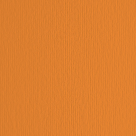 Cartoncino elle erre - 50x70cm - 220gr - arancio 108 - fabriano -  blister 20 fogli