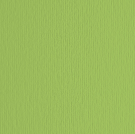 Cartoncino elle erre - 50x70cm - 220gr - verde pisello 110 - fabriano -  blister 20 fogli
