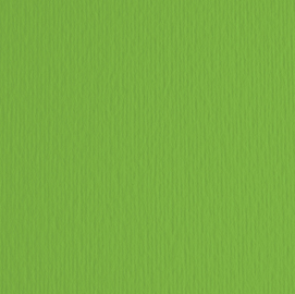 Cartoncino elle erre - 50x70cm - 220gr - verde 111 - fabriano -  blister 20 fogli