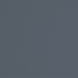 Cartoncino elle erre - 50x70cm - 220gr - ferro 122 - fabriano -  blister 20 fogli