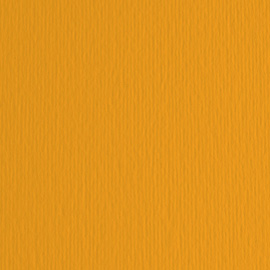 Cartoncino elle erre - 50x70cm - 220gr - aragosta 26 - fabriano - blister 20 fogli