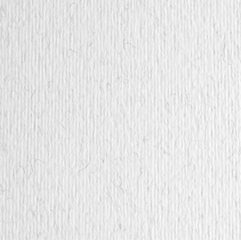 Cartoncino elle erre - 50x70cm - 220gr - brina 29 - fabriano - blister 20 fogli