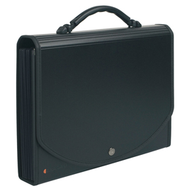 Classificatore exacase - 13 tasche - ppl - 33x26 cm - nero - exacompta