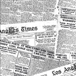 Cartine antigrasso per alimenti - 20 x 32,5 cm - fantasia journal - leone - conf. 500 pezzi