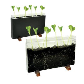 Contenitore esplora il sottosuolo - 30 x 19 x 4 cm - cwr