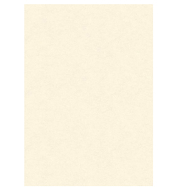 Diplomi in pergamena - stampa offset - a3 - 160 gr - neutro avorio - kartos - conf. 10 pezzi