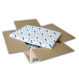 Epson - carta speciale per stampanti laser a colori - c13s041165