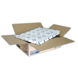 Epson - carta speciale per stampanti laser a colori - c13s041217