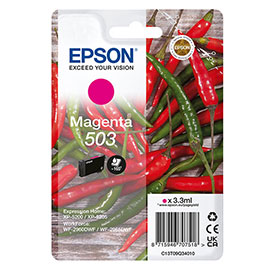 Epson cartuccia 503 peperoncino magenta 3,3 ml