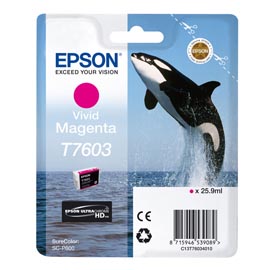 Epson - cartuccia ink - magenta - c13t76034010 - 25,9ml