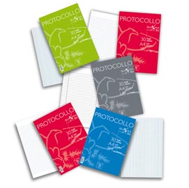 Fogli protocollo quaxima - a4 - quadretto 4mm - 30 fogli - 80 gr - pigna