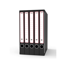 Gruppo registratori quintetto - con 5 cartelle ad anelli - 23x32 cm - dorso 23 cm - grigio - rexel