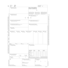 Lettera di vettura internazionale cmr snap 5copie autor.31x21cm du183160000 du