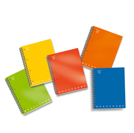 Maxiquaderno monocromo - a4 - 100 fogli - 80gr - quadretto 5mm - 4 fori - spiralato - pigna