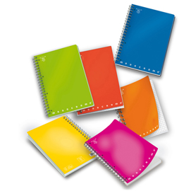 Maxiquaderno monocromo - a4 - 1 rigo - 70 fogli - 80gr - 4 fori - microperforato - spiralato - pigna