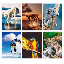 Maxiquaderno animal fantasia - a4 - 42 fogli - 80gr - 1 rigo - bm