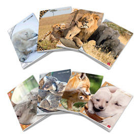 Maxiquaderno dolci cuccioli - a4 - 1 rigo - c/margine - 42 fogli - 80 gr - pigna