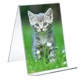 Portadepliant -  verticale - con base in legno - 21 x 30 cm - acrilico - lebez