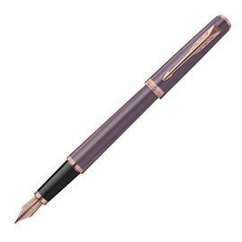 Penna stilografica meridian gt - punta m - viola - parker