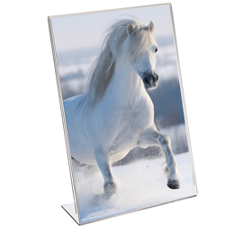 Portadepliant - materiale acrilico - 23x31 cm - verticale - lebez