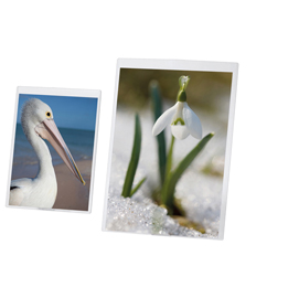 Portadepliant a3 - pvc semirigido - lebez