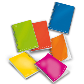 Quaderno monocromo - a5 - 1 rigo - 70 fogli - 80gr - 4 fori - spiralato - pigna