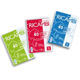 Ricambi forati quaxima - a4 - quadretto 10mm - 40 fogli - 80gr - pigna