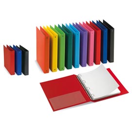 Raccoglitore nettuno - 4 anelli a d 17 mm - dorso 3 cm - 22x30 cm - rosso - sei rota