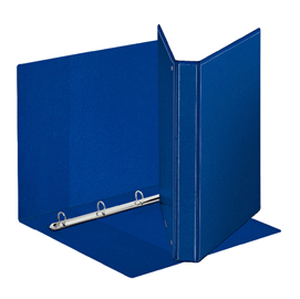 Raccoglitore personalizzabile display - 4 anelli a d 40 mm - dorso 5,9 cm - 22x30 cm - blu - esselte