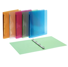 Raccoglitore lumina - ppl - 4 anelli tondi d15 - dorso 2 cm - 22x30 cm - colori assortiti - favorit