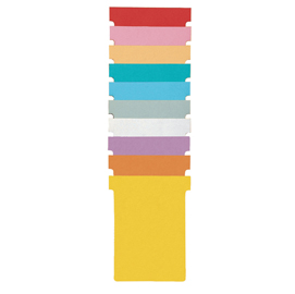 Schede a t indice 1 bianche per professional planner - nobo - conf. 100 pezzi