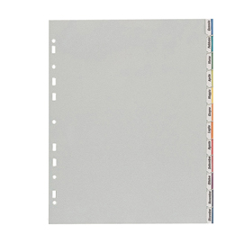 Separatore - 12 tacche personalizzabili - pp - 22x30 cm - grigio - favorit