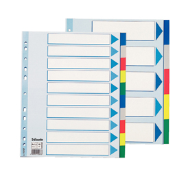 Separatore - 10 tasti colorati - pp - a4 maxi - 24,5x29,7 cm - multicolore - esselte