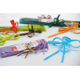 Svelto strip easy basic - menta diam - 140mm - bolis - sacchetto 50 svelto